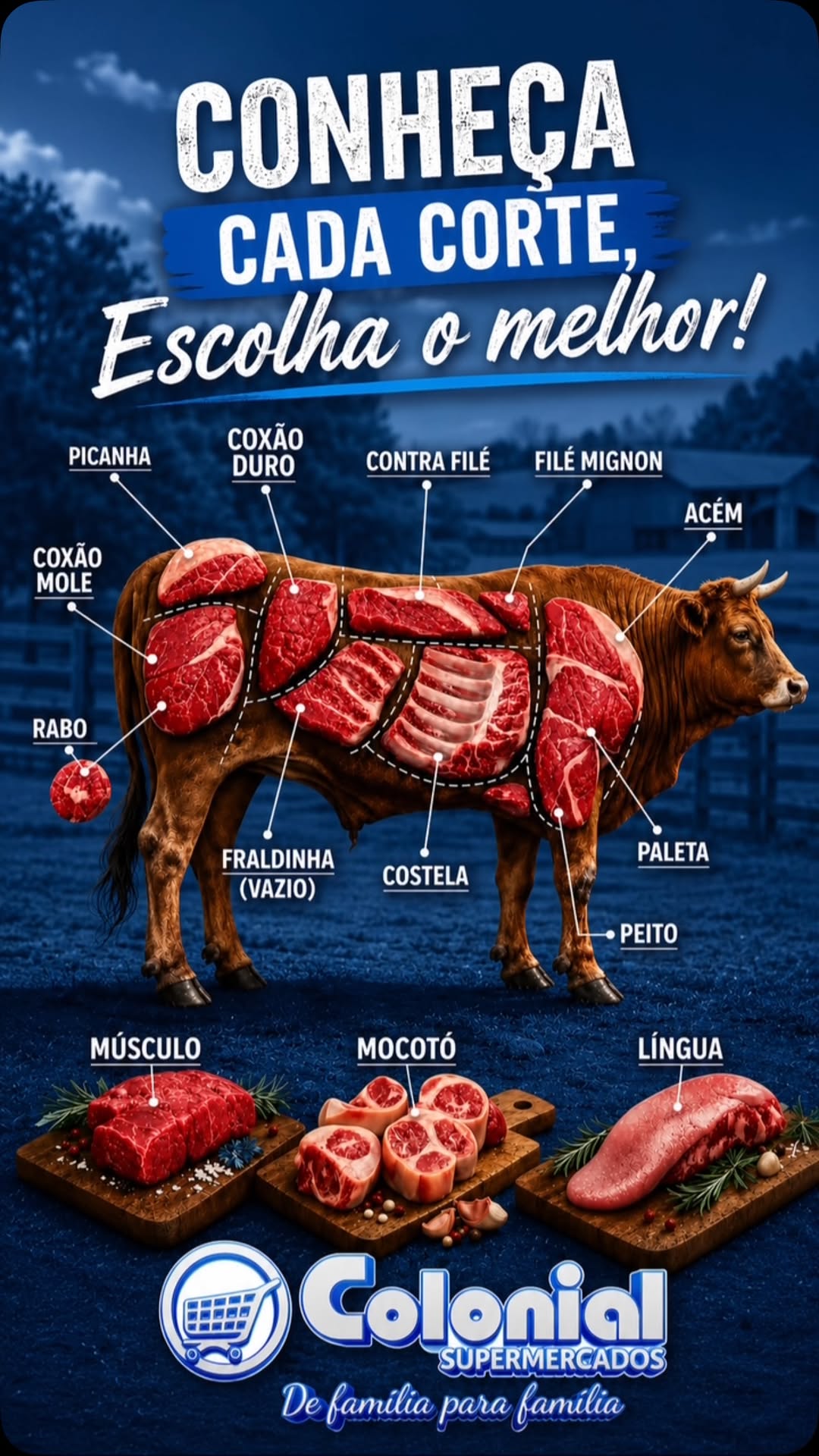 Cartaz